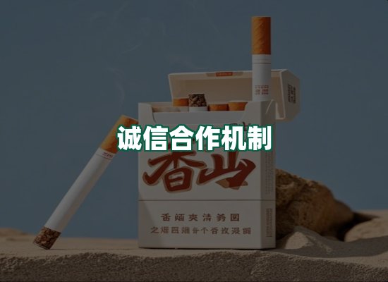 核心优势